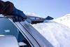 Picture of 22" Snowbrush w/ice scraper 20/case