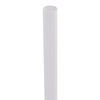 Picture of Empress Jumbo Clear Straw Paper Wrapped  7.75"  boxed 10/500 cs